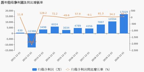 有研新材2020年度業績顯著提升，歸母凈利潤同比大漲60.74%，投資項目回報成未來焦點